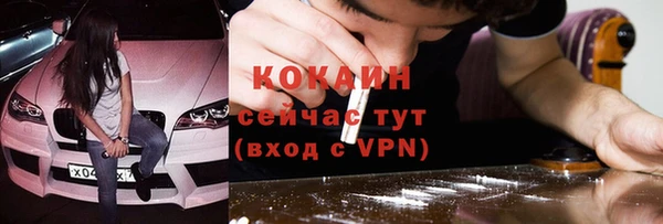 apvp Богородицк