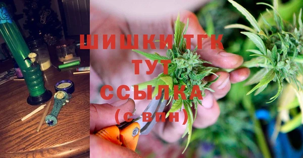 амф Богданович
