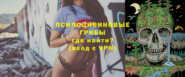 apvp Богородицк