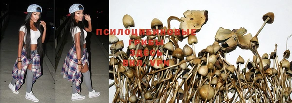 a pvp Богородск