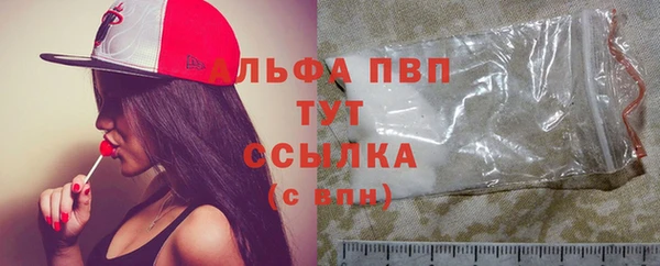 амф Богданович