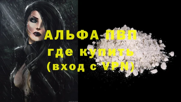 амф Богданович