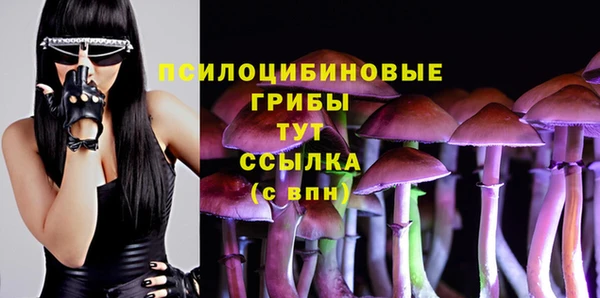 apvp Богородицк