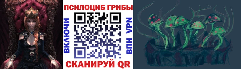 Псилоцибиновые грибы GOLDEN TEACHER  закладка  Котельниково 